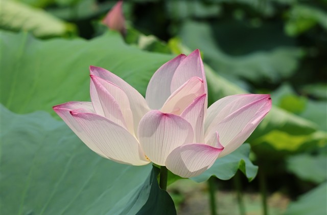 伤感爱情网名大全(精选164个)