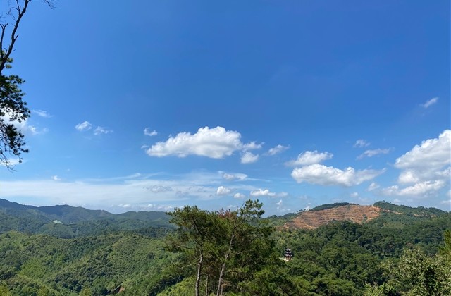 清纯可爱的微信网名