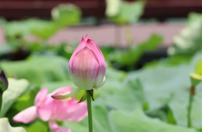 ​文艺6个字网名大全(优选149个)