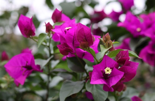 甜到腻人的情侣网名