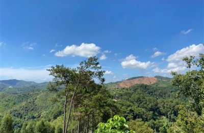 ​女生四字好听网名(优选161个)