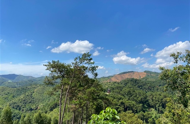 女生四字好听网名(优选161个)