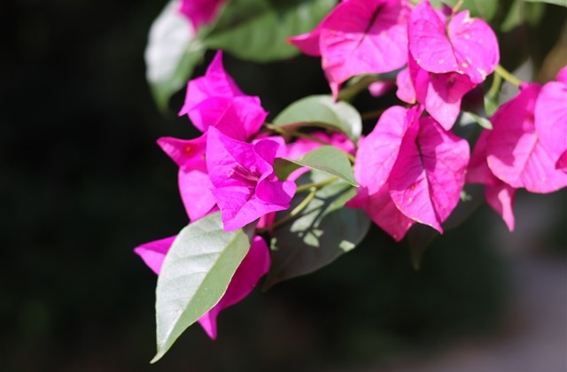 让男人看了亏欠心疼的昵称(优选150个)