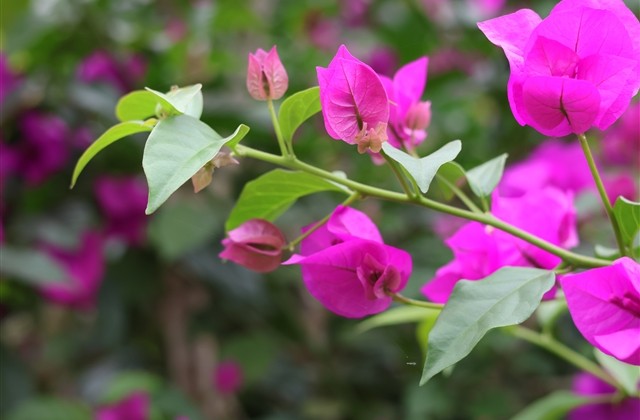 伤感男网名两个字带符号(优选162个)