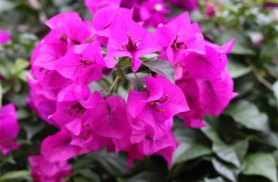 ​吃鸡2字id很少人用(共193个)