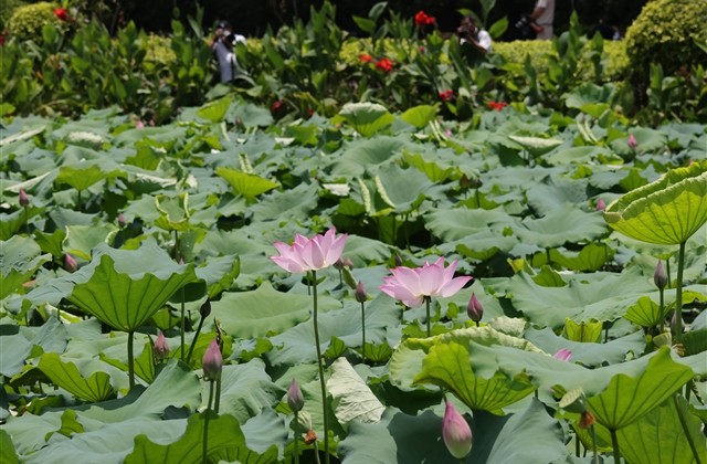 好听网名伤感两个字(精选105个)