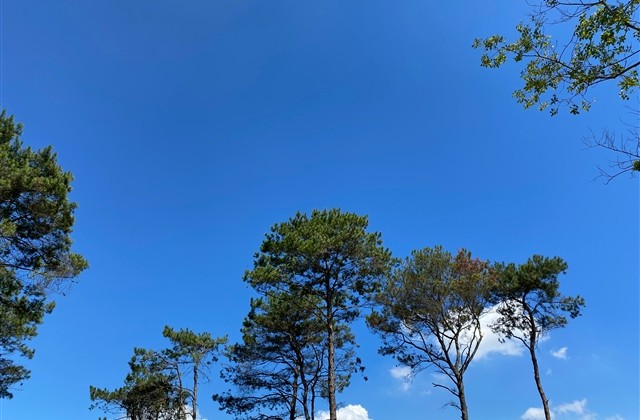 好听的2字名字(精选110个)