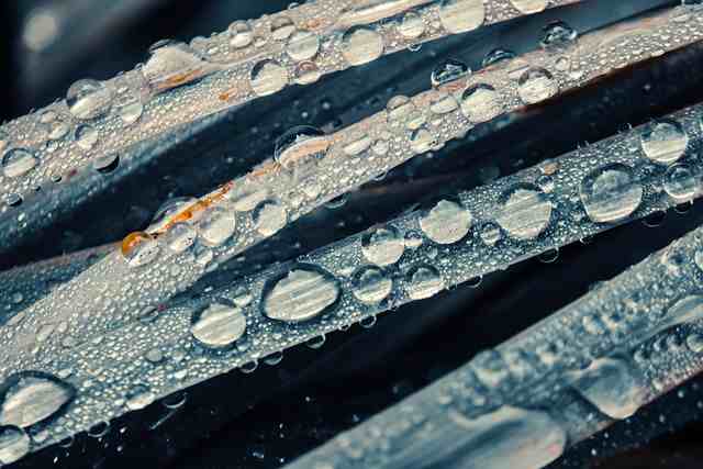 别为难自己,别辜负岁月