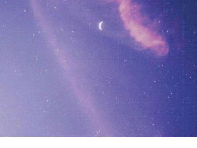 五个字的名言警句