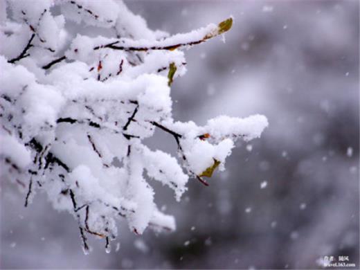 关于夏日即景的作文400