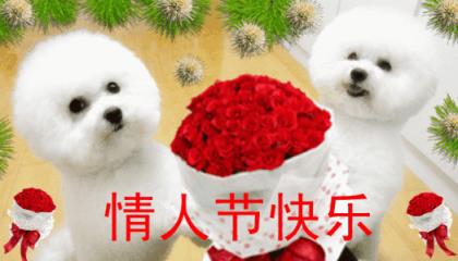 发说说的句子关于爱情