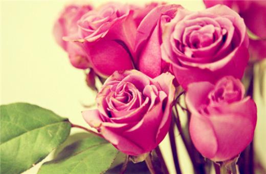 早安励志语录配图