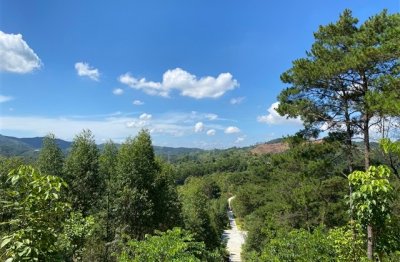 ​吃鸡情侣id游戏名