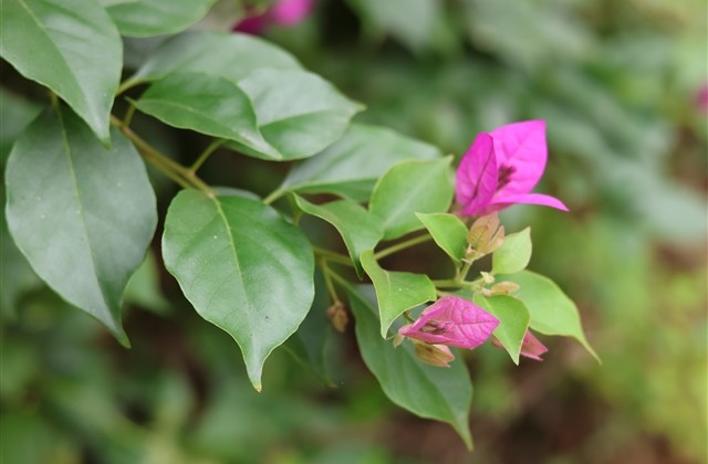 王者网名女生沙雕可爱(精选117个) 王者网名女生沙雕可爱(精选117个)