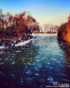 ​风雨无惧完整句子 经历过风雨励志的句子