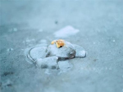 ​晒朋友圈夸赞老公做饭的幽默句子 心情不好发朋友圈幽默的句子