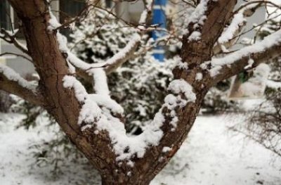 ​经典悲伤语录短句（精辟到毒死人的句子）