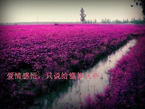 应酬饭局的说说心情(优选97句) 应酬饭局的说说心情(优选97句)