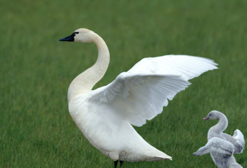 1687424732125536.png image.png