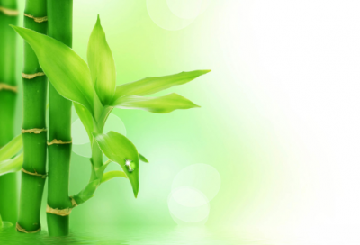 ​关于五一假期的沙雕朋友圈搞笑文案115句