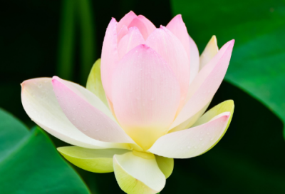 ​跨年发的朋友圈文案精选163句