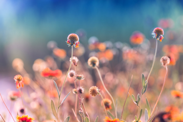 关于父亲节快乐的语录 精选父亲节快乐个性签名