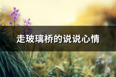 ​走玻璃桥的说说心情(75句)