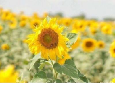 2023写给自己说说朋友圈