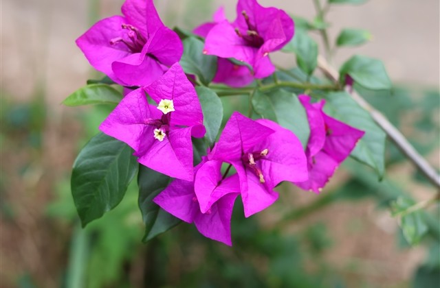 表达爱孩子的文案 表达爱孩子的文案