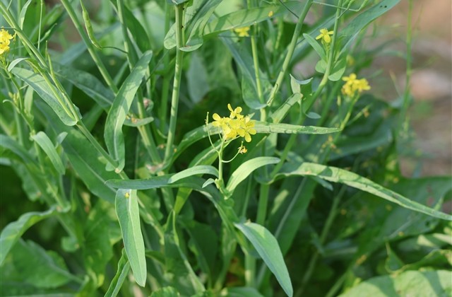 表达爱孩子的文案 表达爱孩子的文案