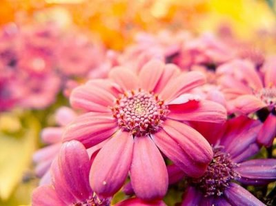 ​2023新年说说配图