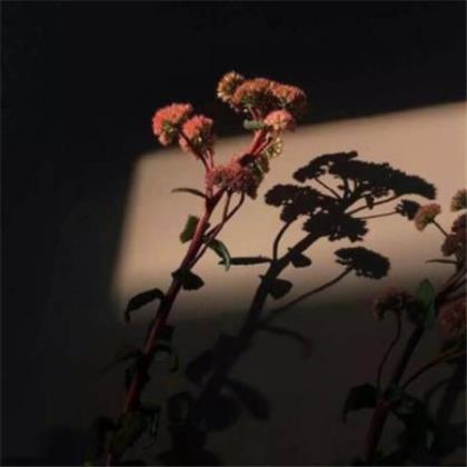 与朋友分别时的话