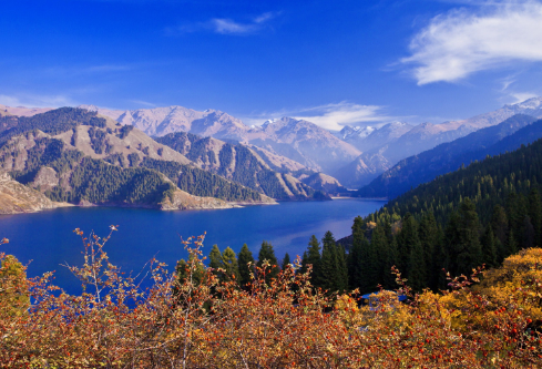 1687427065647197.png image.png