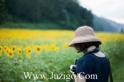 ​夏至时节微信朋友圈高赞祝福语文案(精选55句)