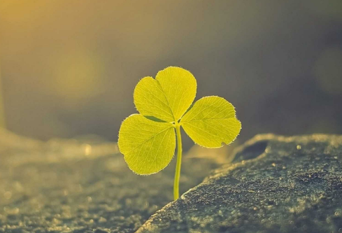 1687429232116478.png image.png