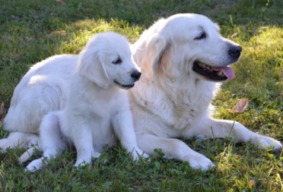 ​情人节文案发朋友圈短句97句