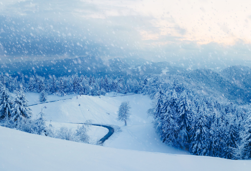 1687430899328547.png image.png