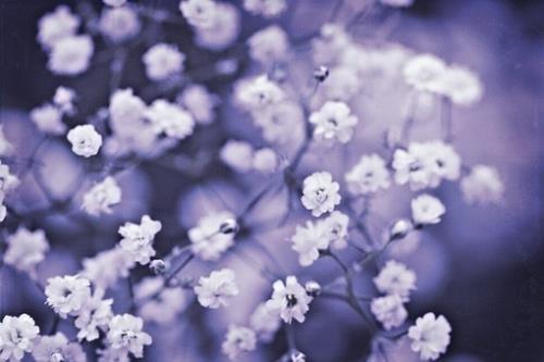 对自己说一句鼓励的话