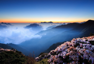 ​从此我不再卑微的爱你的说说249句