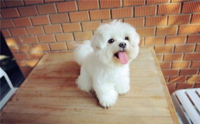 ​晚安心语短句 一句话发朋友圈