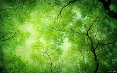 ​拿到驾驶证的文案 拿到驾照的幽默 驾照的搞笑说说