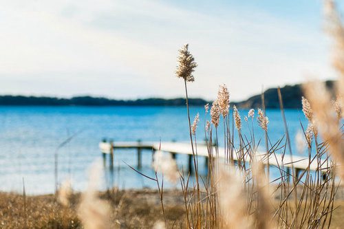 孤独的人总是晚睡的说说