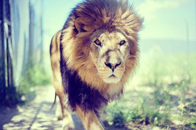 ​微风的造句105句