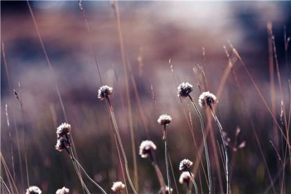 qq空间说说表白霸气