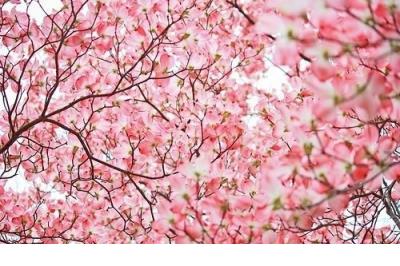 qq空间说说表白霸气