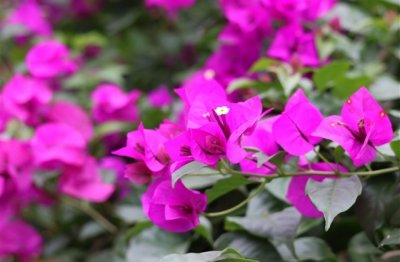 ​霸气姐的微博网名精选(精选131个)