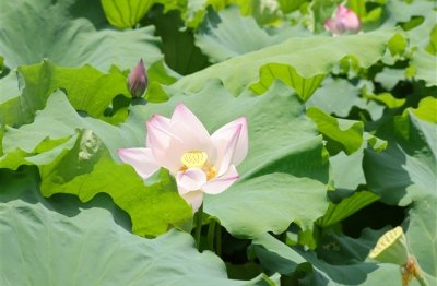 ​非主流情侣昵称带符号(优选73个)