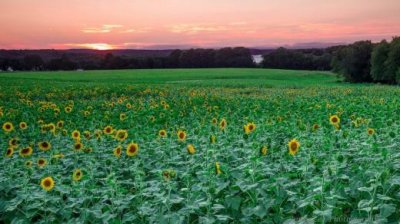 ​适合半夜发的朋友圈说说（很久没发朋友圈的说说）