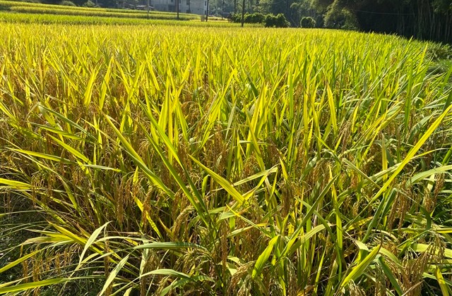 逗比情侣网名好听一对