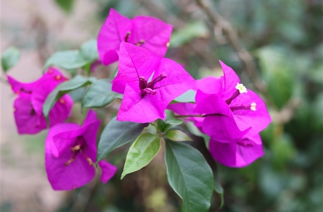 独一无二的lol游戏名字(精选99个) 独一无二的lol游戏名字(精选99个)